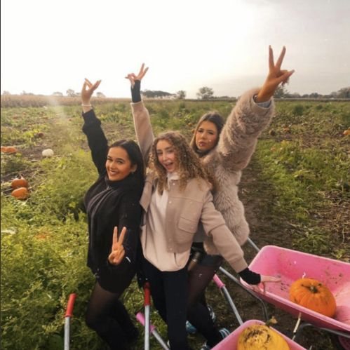 Pumpkin Picking